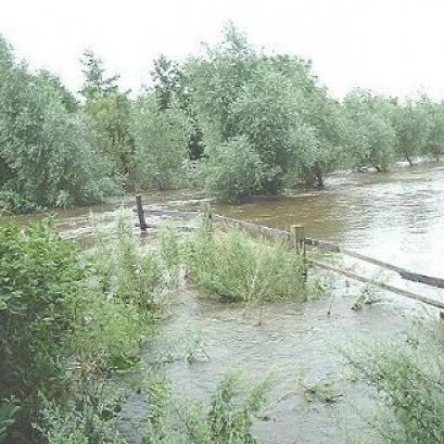 Hochwasser 2002